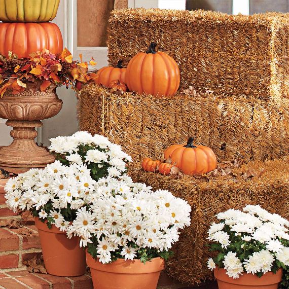 mums front porch fall displays mums front porch fall displays