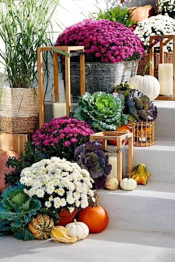 mums front porch fall displays mums front porch fall displays
