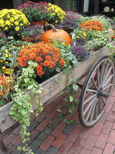 mums front porch fall displays mums front porch fall displays