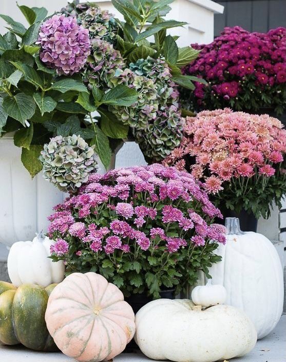 mums front porch fall displays mums front porch fall displays