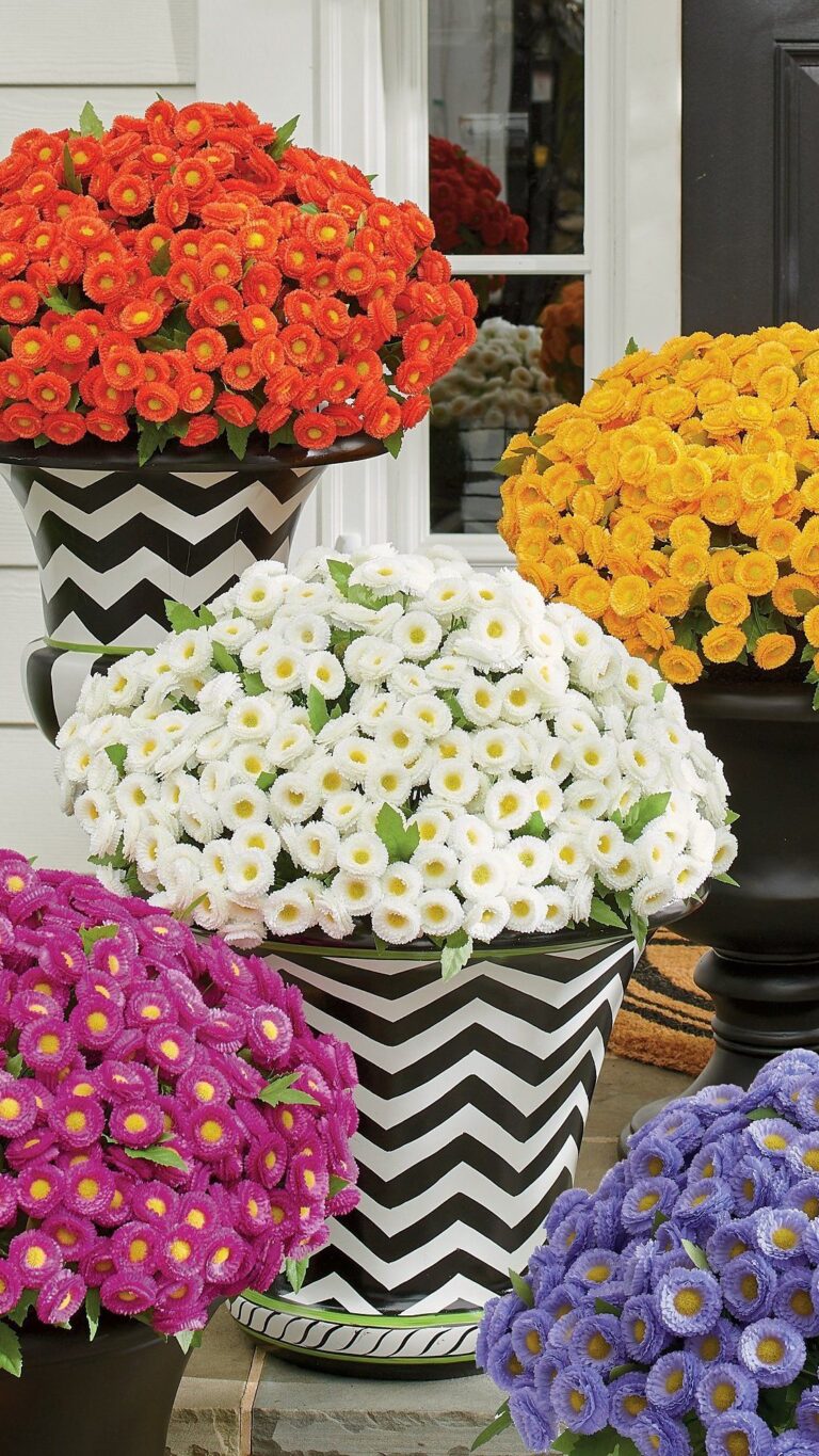 134 Mums Front Porch Fall Displays 2024: Rustic, Cozy, and Modern Decor ...
