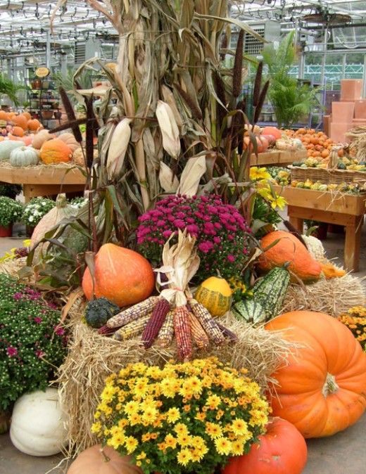 mums front porch fall displays mums front porch fall displays