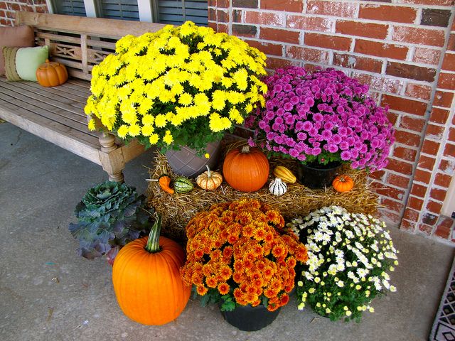 mums front porch fall displays mums front porch fall displays