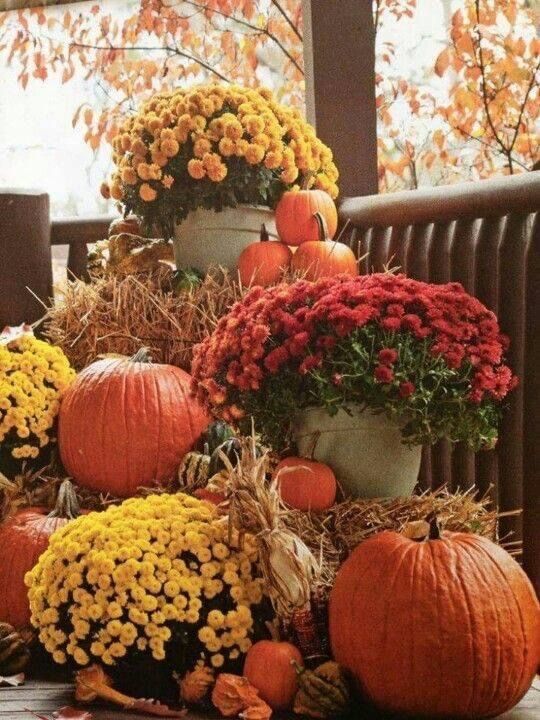 mums front porch fall displays mums front porch fall displays
