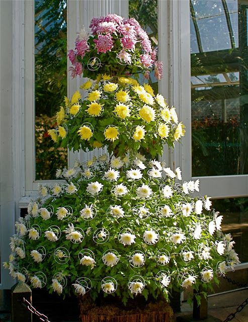 mums front porch fall displays mums front porch fall displays