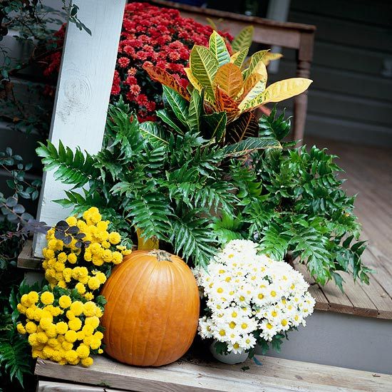 mums front porch fall displays mums front porch fall displays