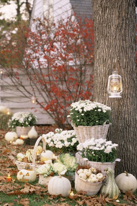 mums front porch fall displays mums front porch fall displays