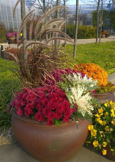 mums front porch fall displays mums front porch fall displays