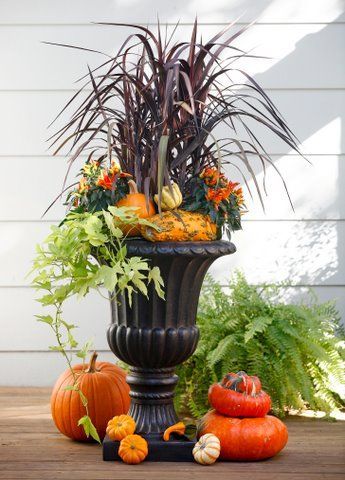 mums front porch fall displays mums front porch fall displays