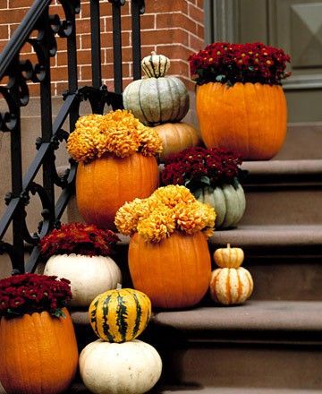 mums front porch fall displays mums front porch fall displays