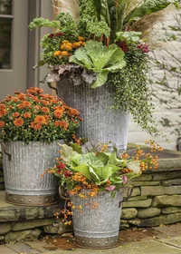 mums front porch fall displays mums front porch fall displays