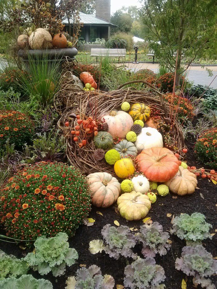 mums front porch fall displays mums front porch fall displays
