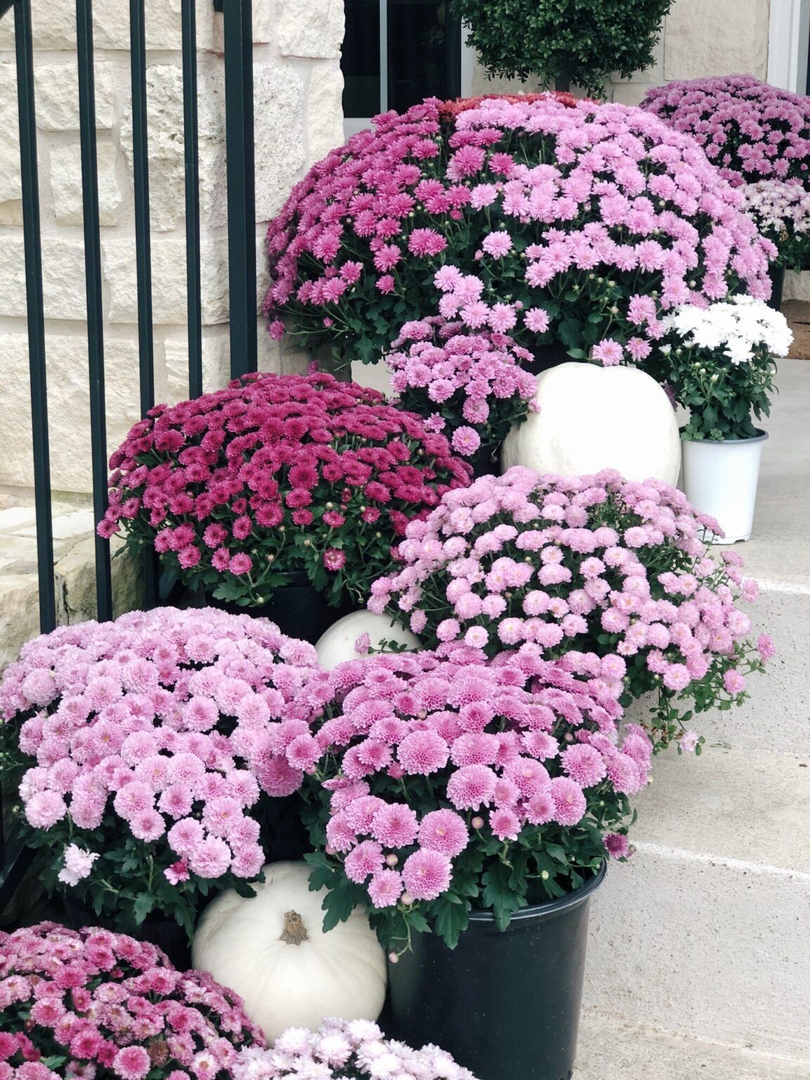 134 Mums Front Porch Fall Displays 2024: Rustic, Cozy, and Modern Decor ...