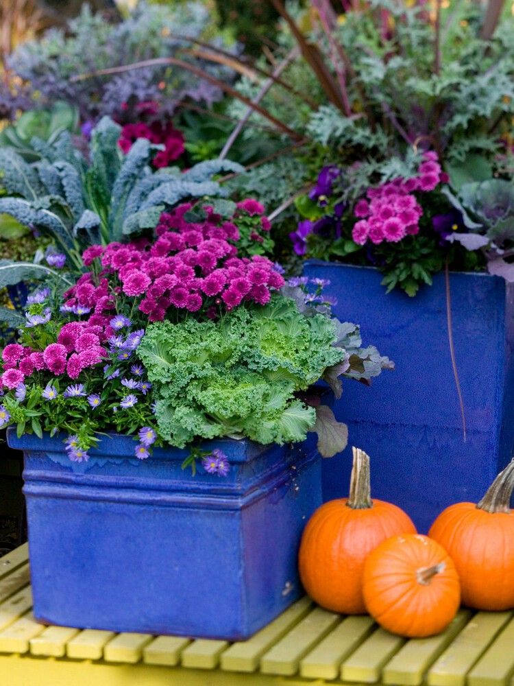 mums front porch fall displays mums front porch fall displays