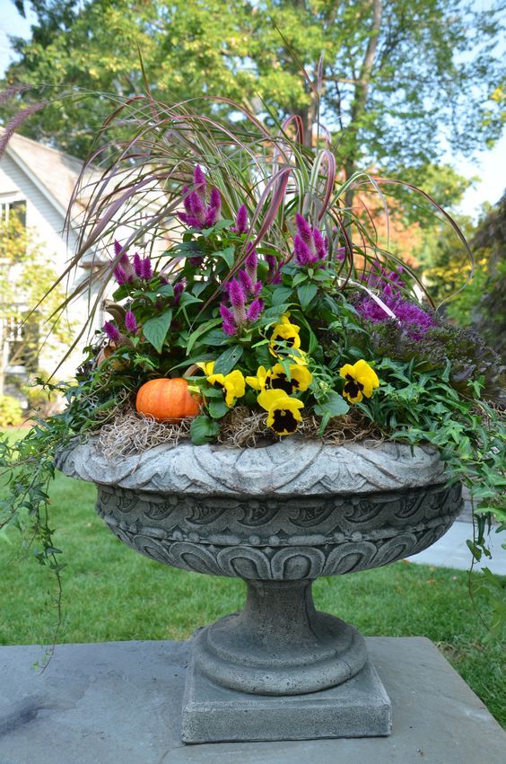 mums front porch fall displays mums front porch fall displays