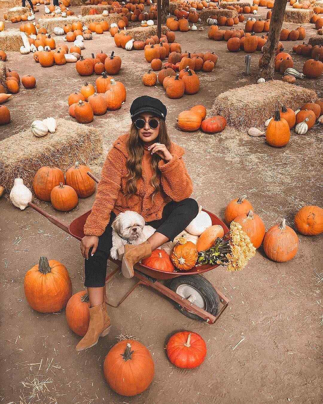 Pumpkin Patch Outfits