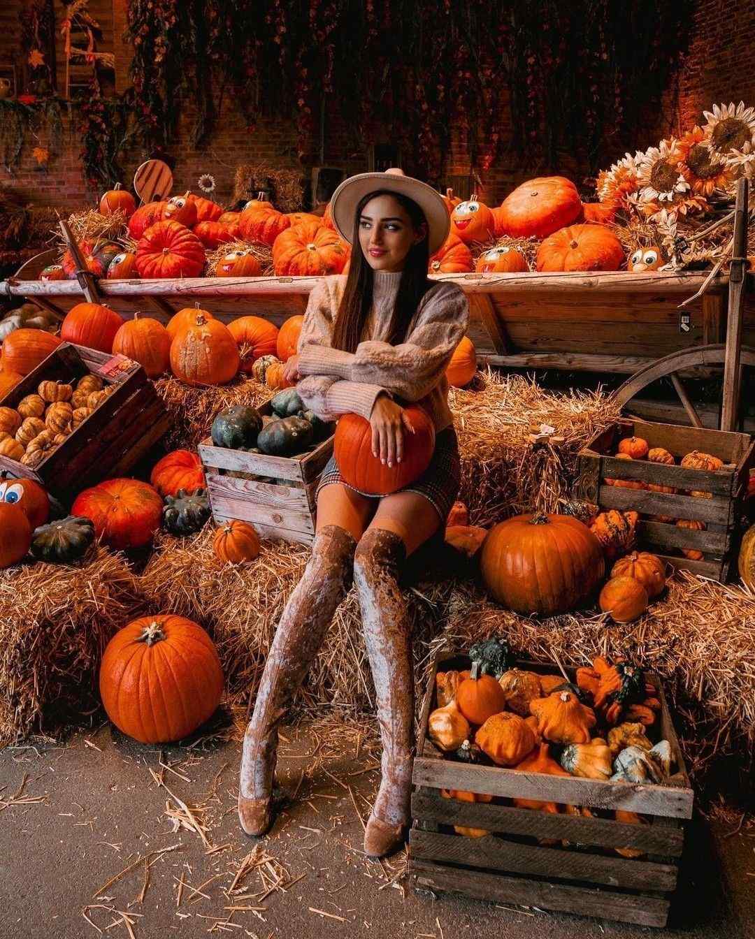 Pumpkin Patch Outfits