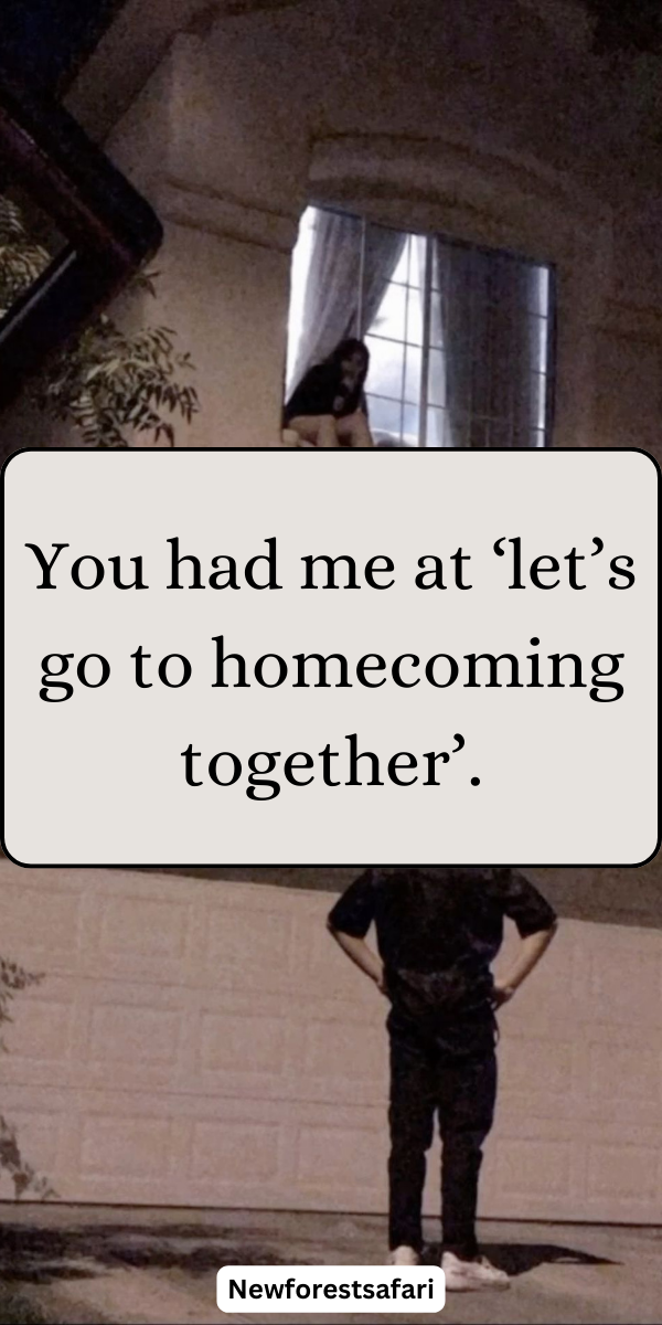 76-funny-homecoming-captions-for-instagram-2025-newforestsafari