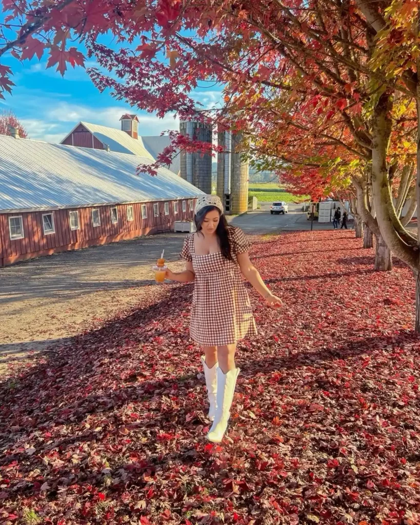 Apple Picking Outfit