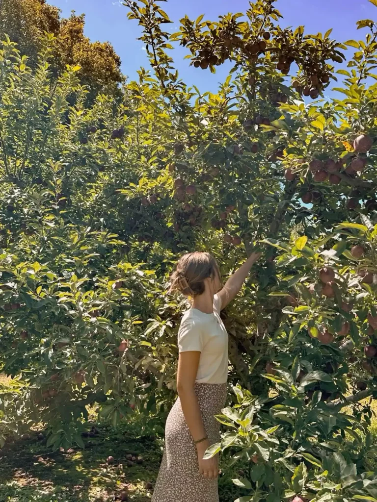 Apple Picking Outfit