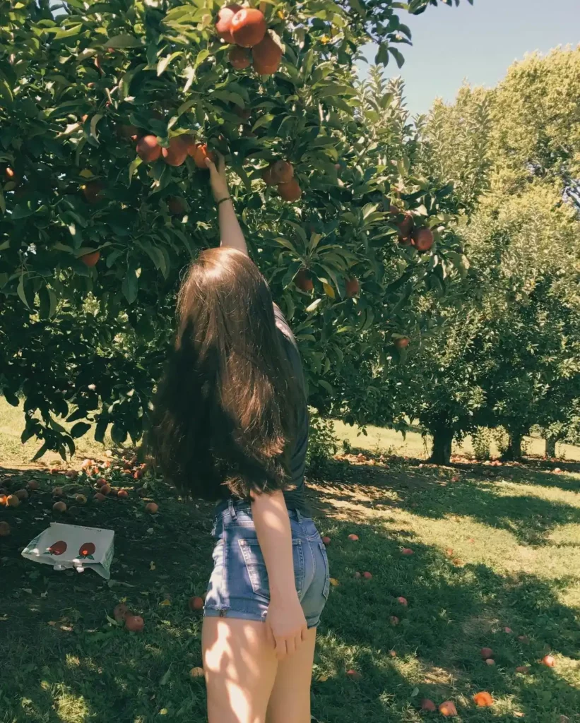 Apple Picking Outfit
