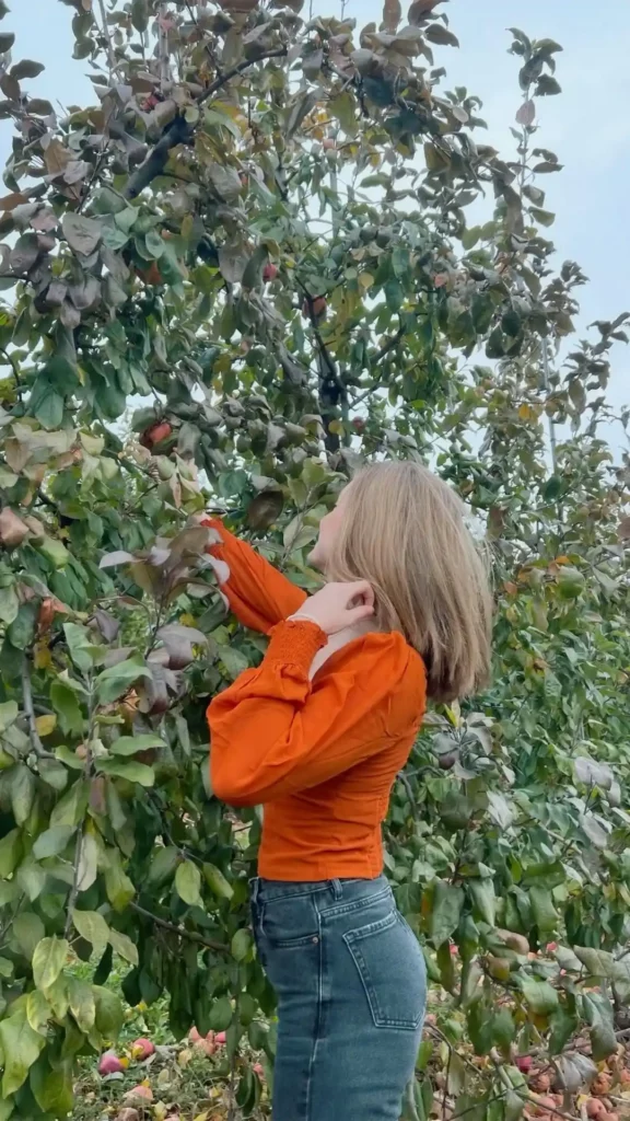 Apple Picking Outfit