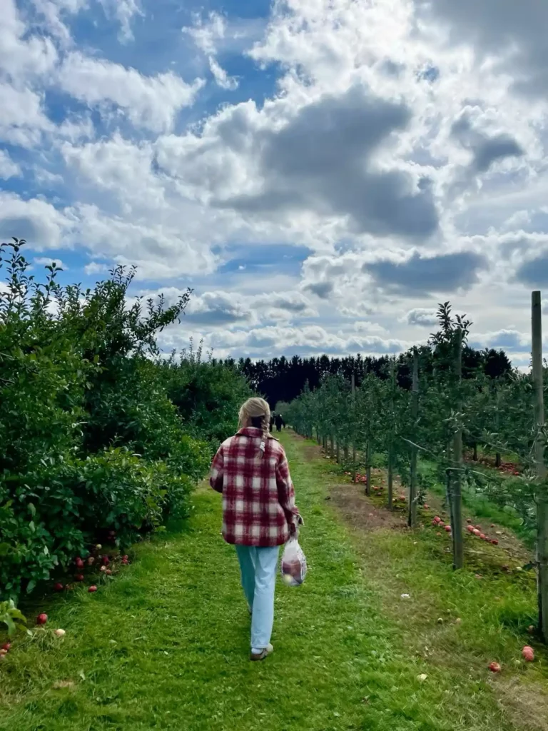 Apple Picking Outfit
