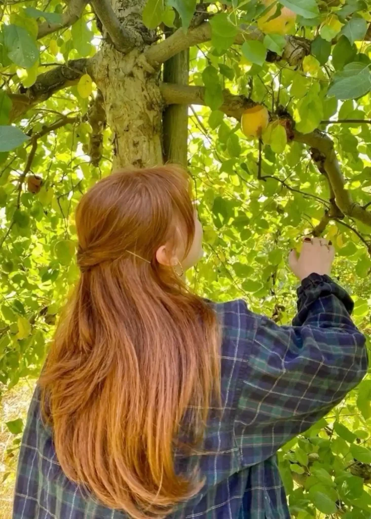 Apple Picking Outfit