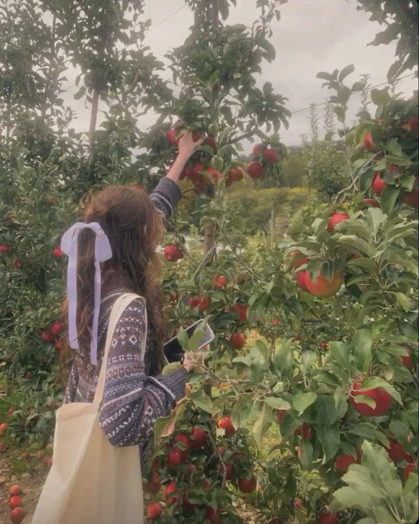 Apple Picking Outfit