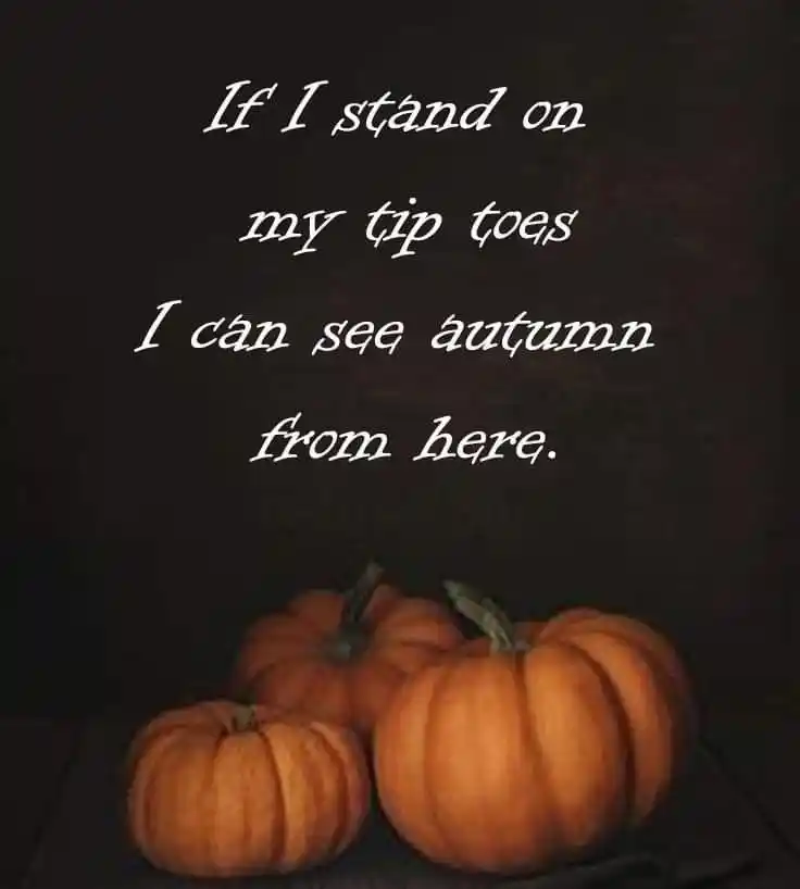 Hello October Quotes Hello October Quotes