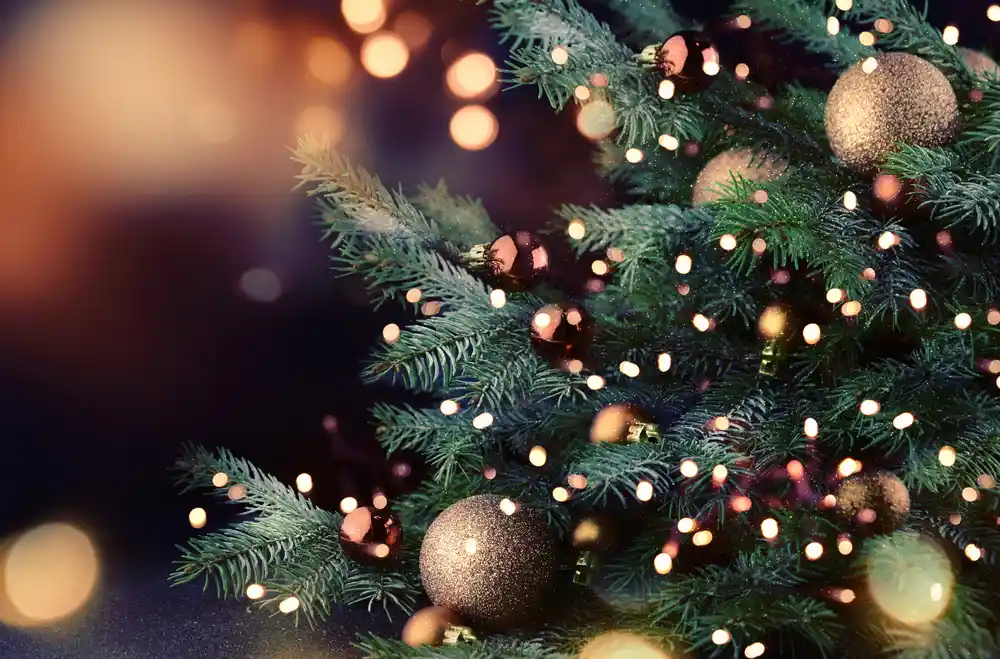 Christmas FB Cover Photos