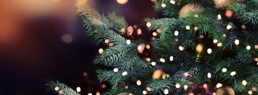 Christmas FB Cover Photos