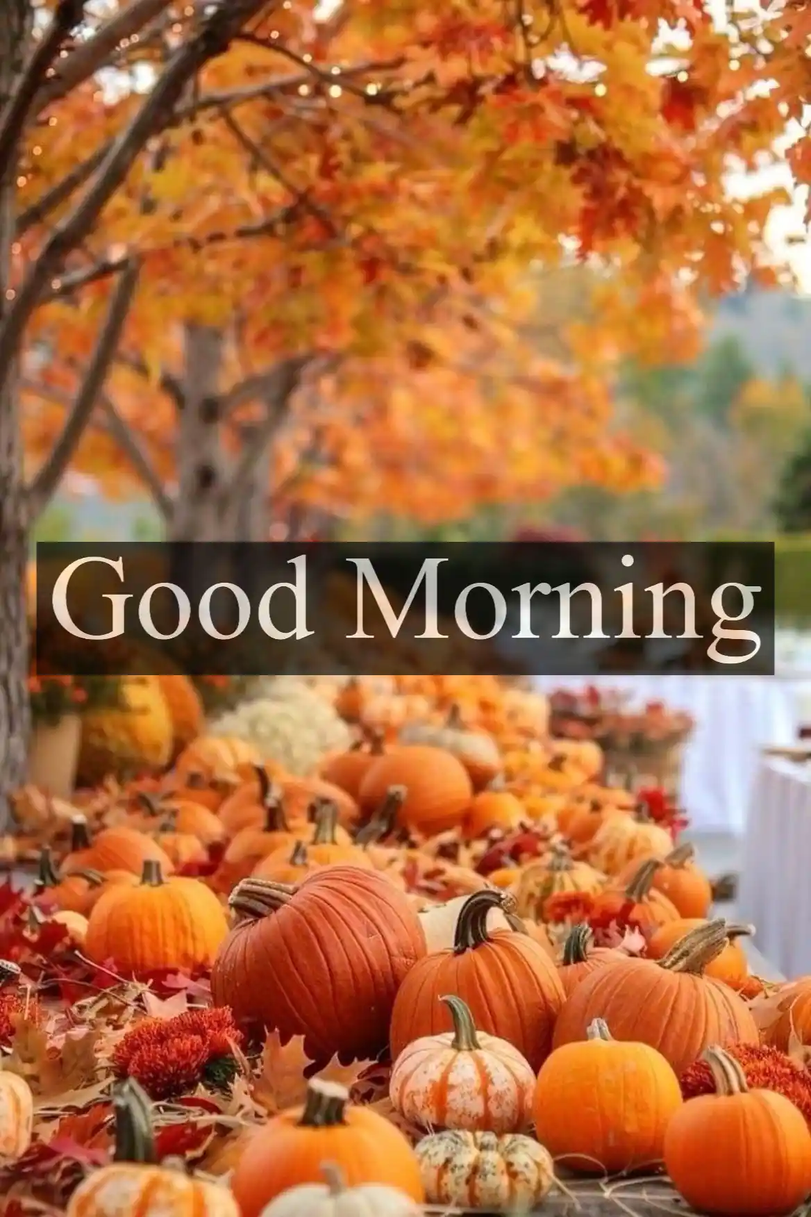 Good Morning Fall Images