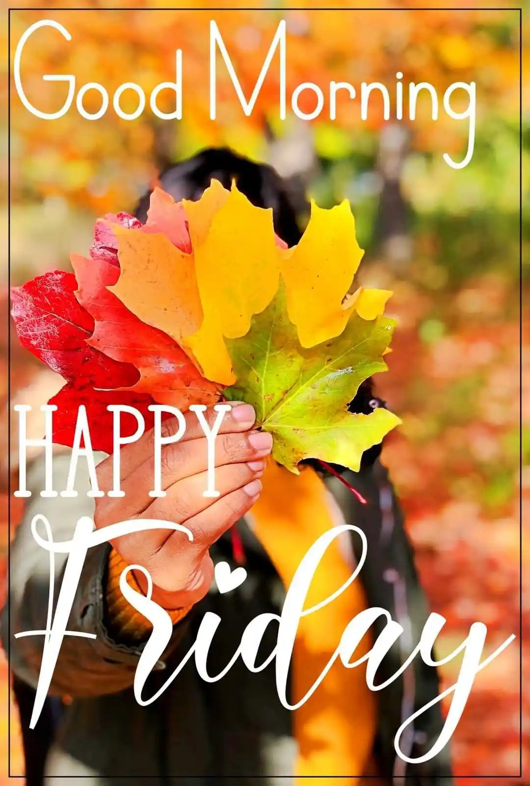 Good Morning Fall Images