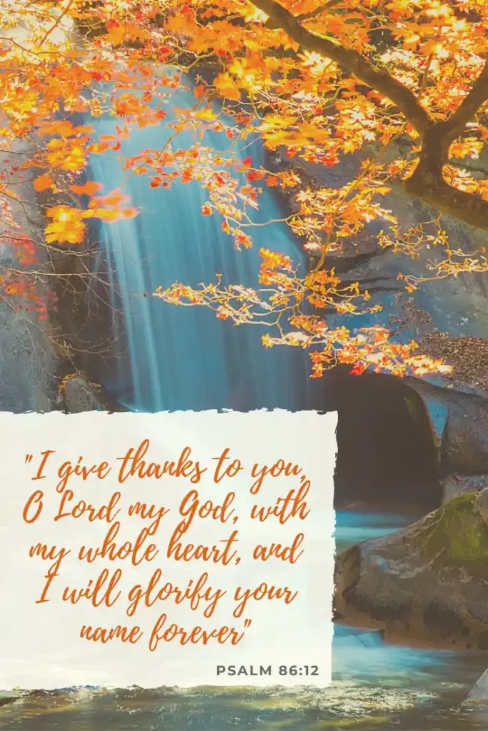 Thanksgiving Bible Verses