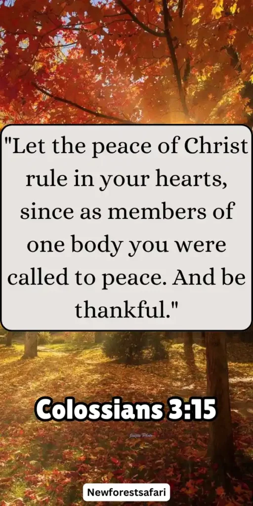 Thanksgiving Bible Verses