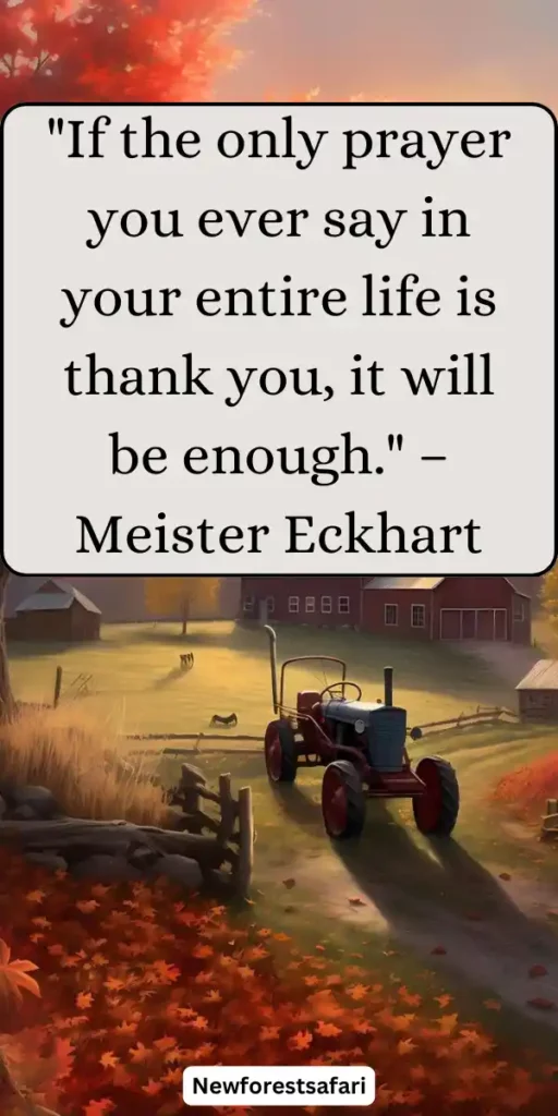 Thanksgiving Quotes