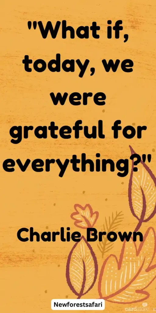 Thanksgiving Quotes