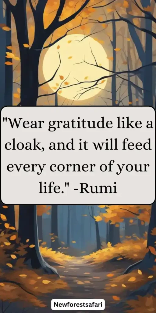 Thanksgiving Quotes