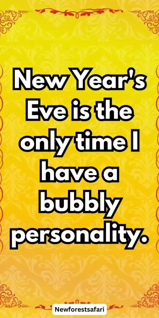 New Year Captions