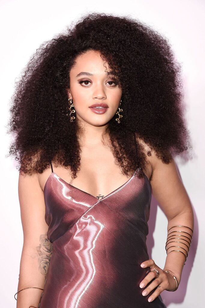 Disco Hairstyles
