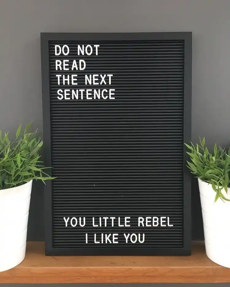 Easy Letterboard Quotes