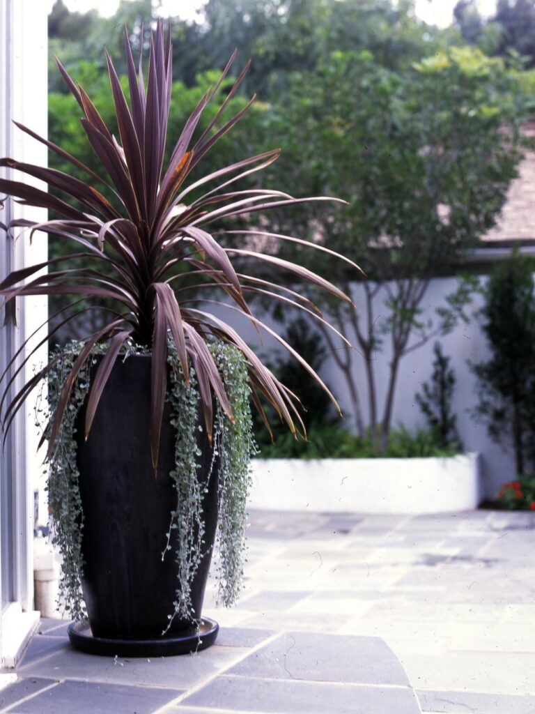 Front Porch Flower Pot Ideas