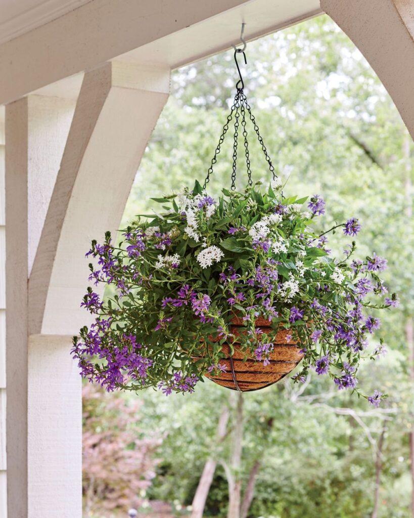 Front Porch Flower Pot Ideas