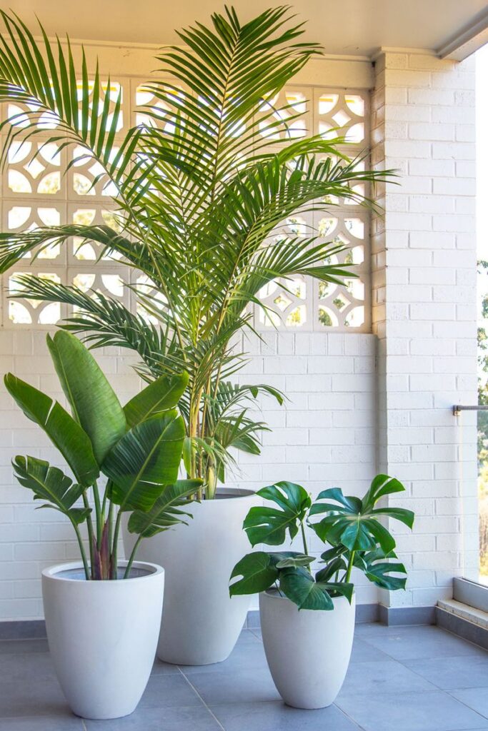 Front Porch Flower Pot Ideas