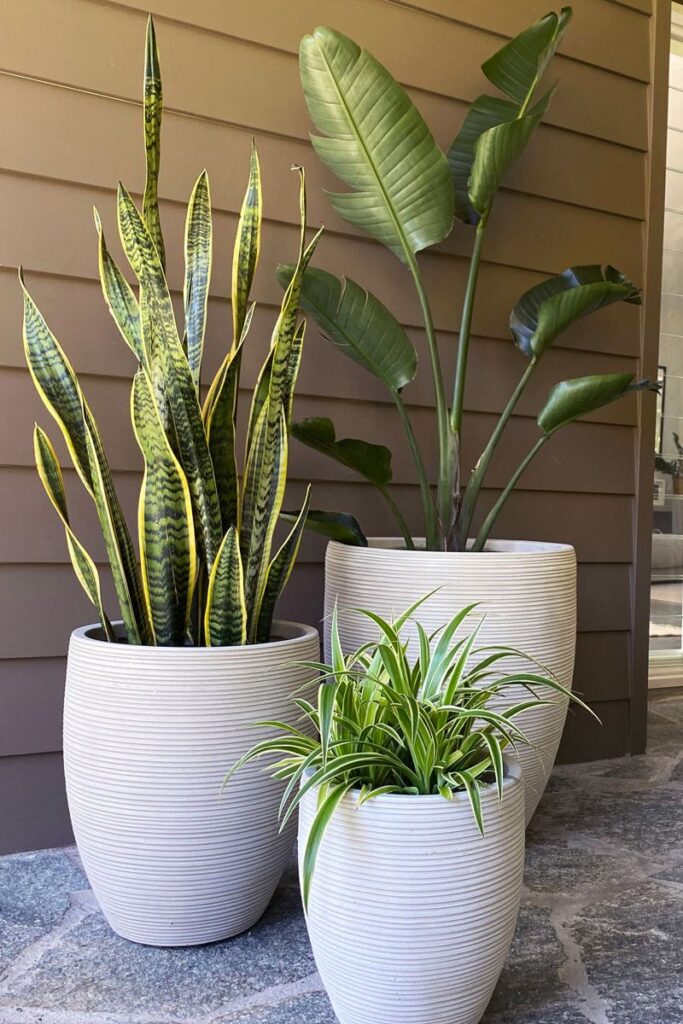 Front Porch Flower Pot Ideas