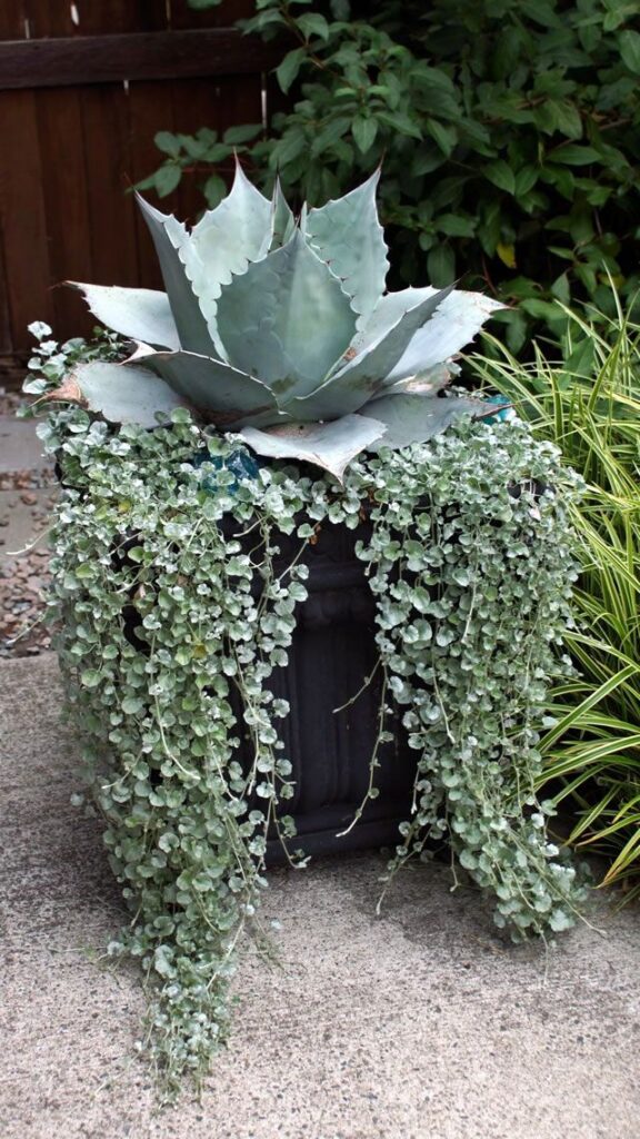 Front Porch Flower Pot Ideas