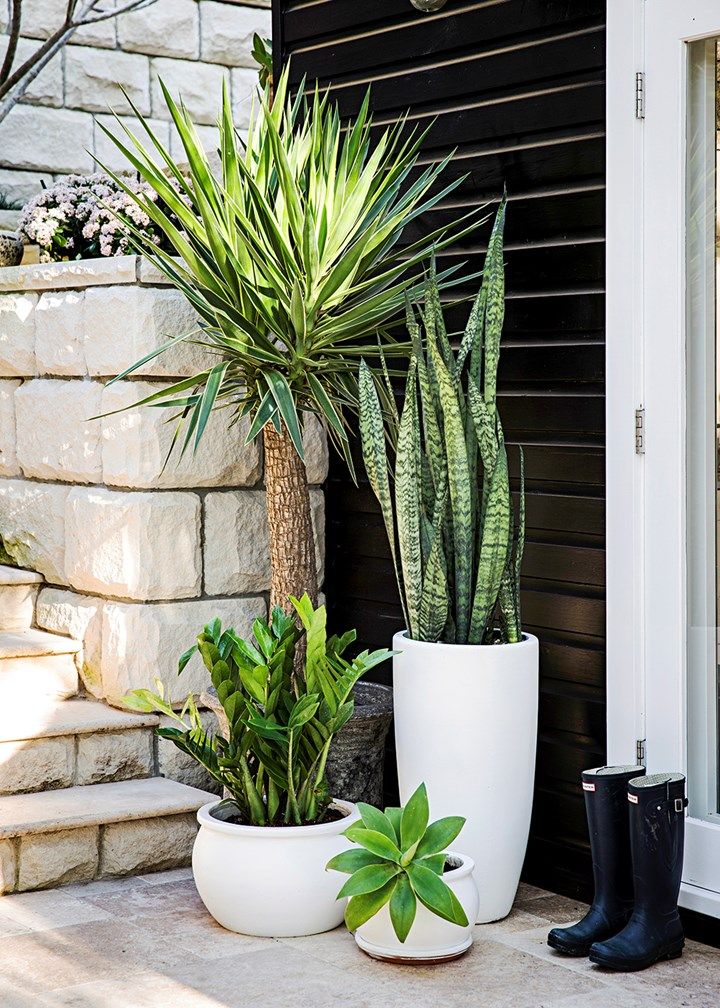 Front Porch Flower Pot Ideas