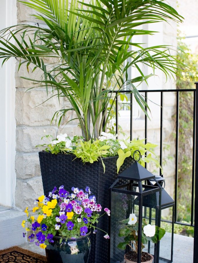 Front Porch Flower Pot Ideas