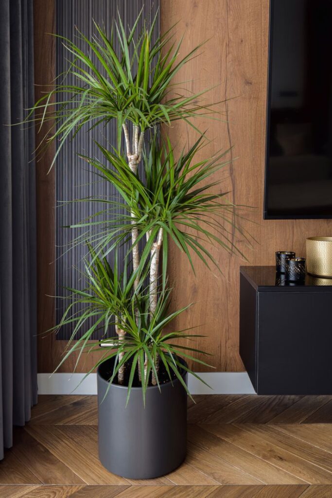 Front Porch Flower Pot Ideas